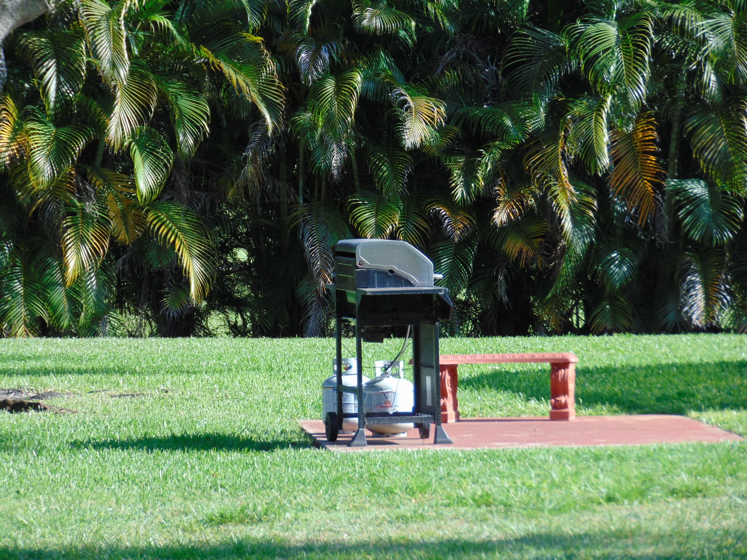 BACK YARD GAS GRILL