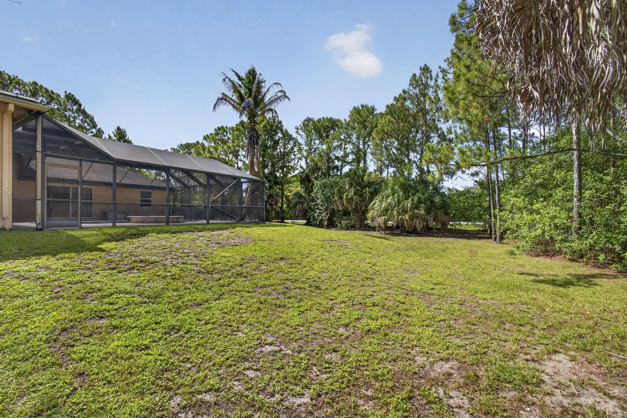 56-web-or-mls-BS1A1677