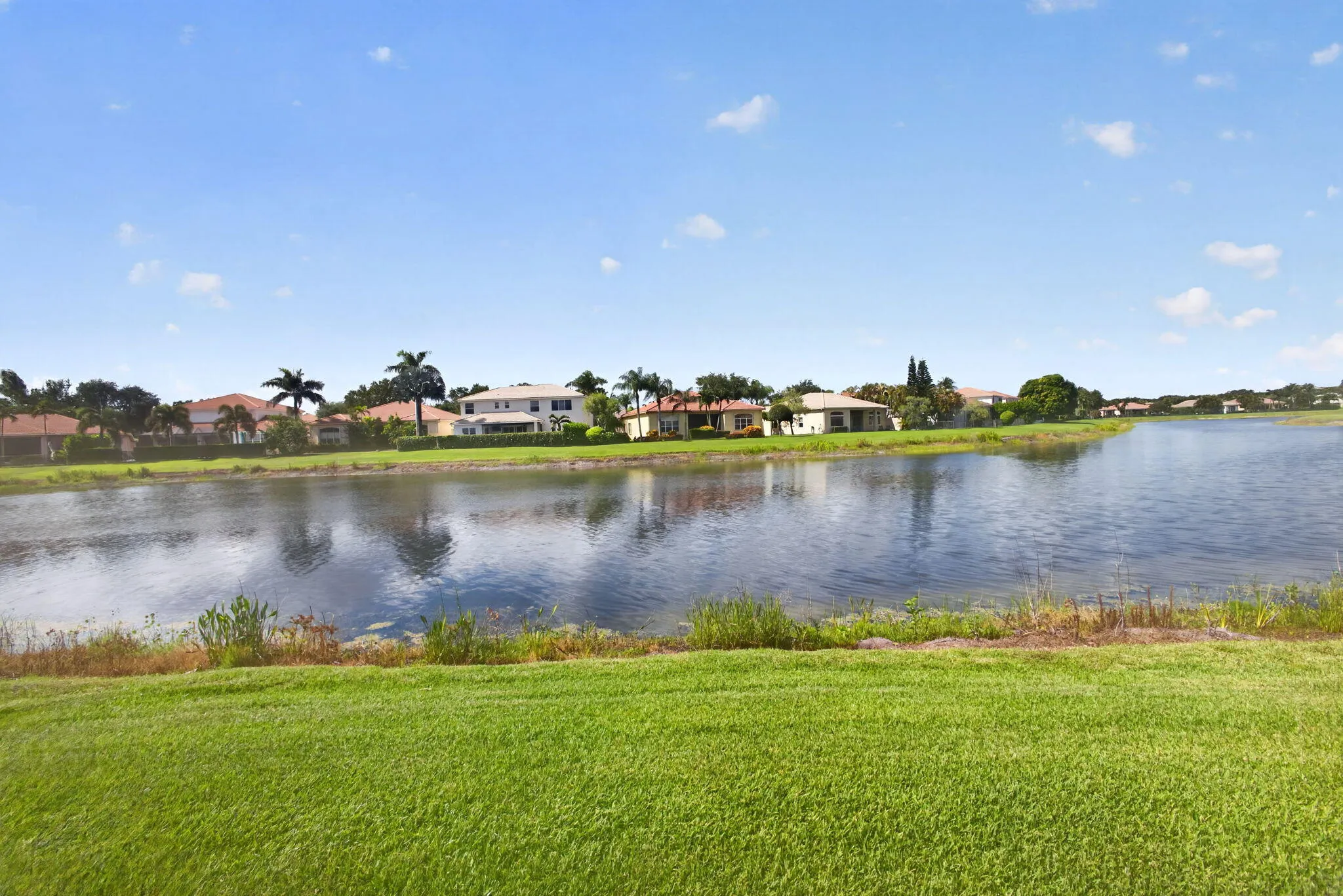 61-web-or-mls-5D1A0972
