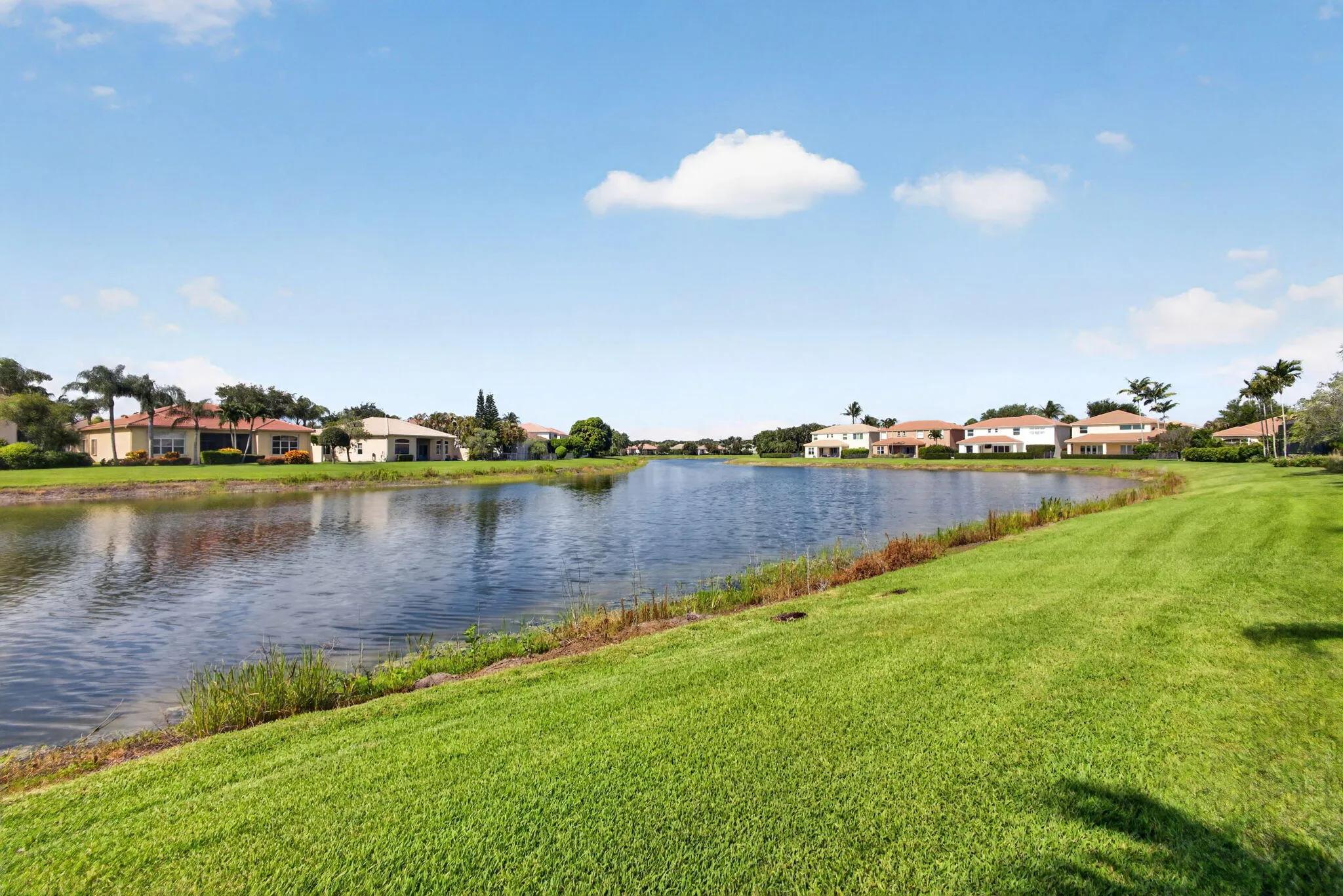 62-web-or-mls-5D1A0977