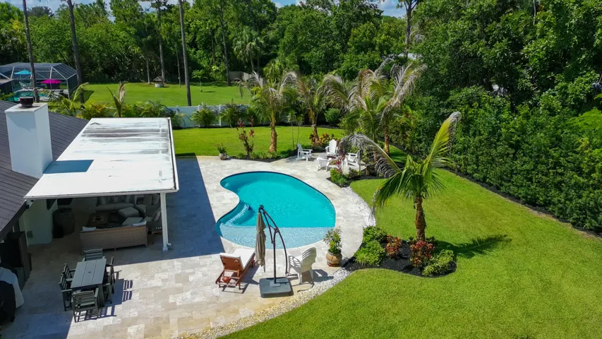 Lush Back Yard