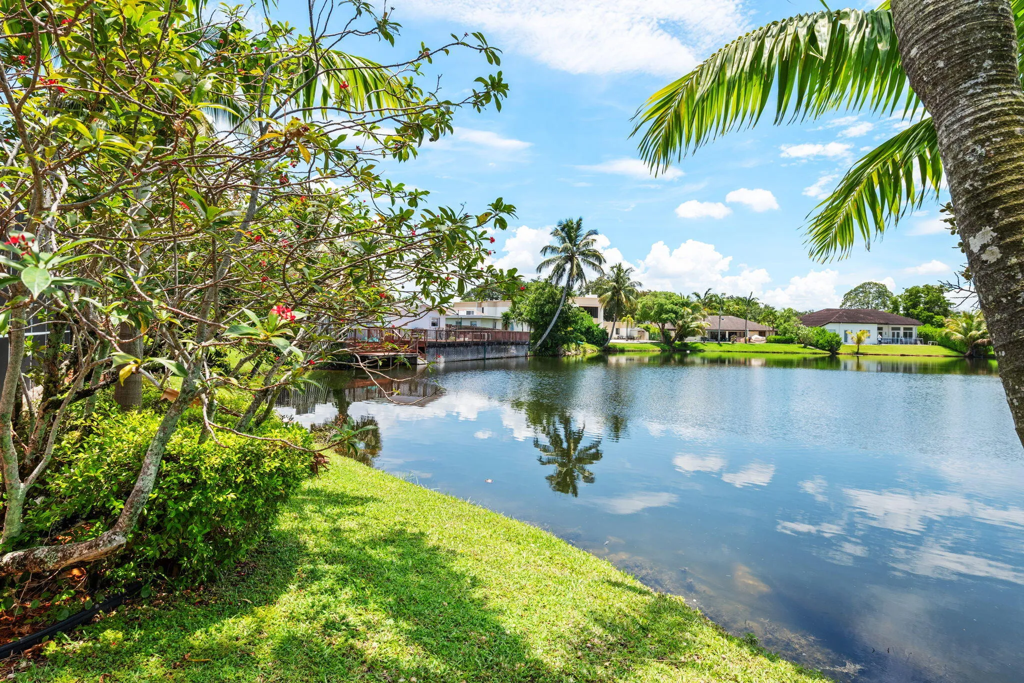 43-web-or-mls-9410-sea-turtle-manor