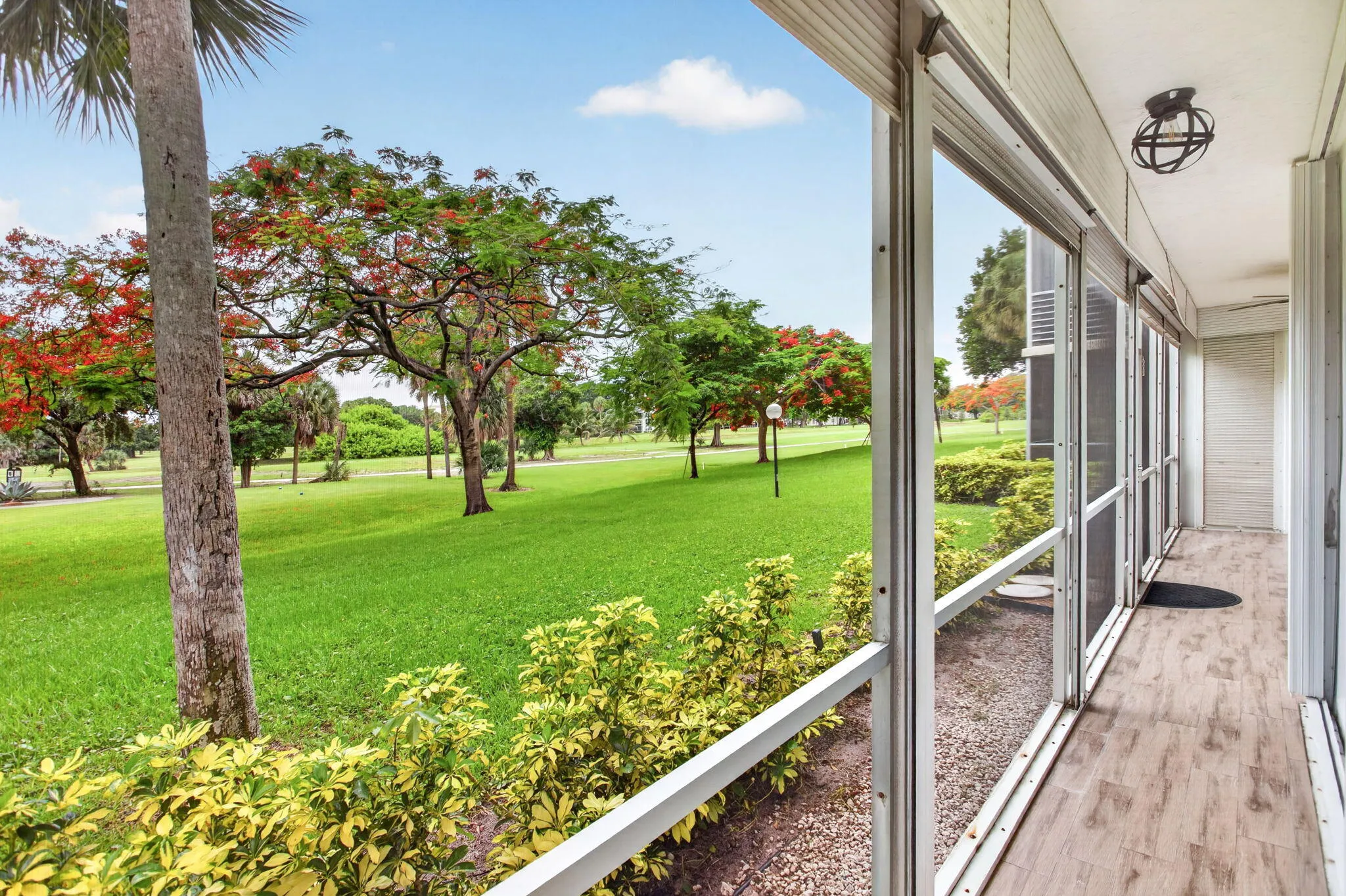 31-web-or-mls-3520-8593