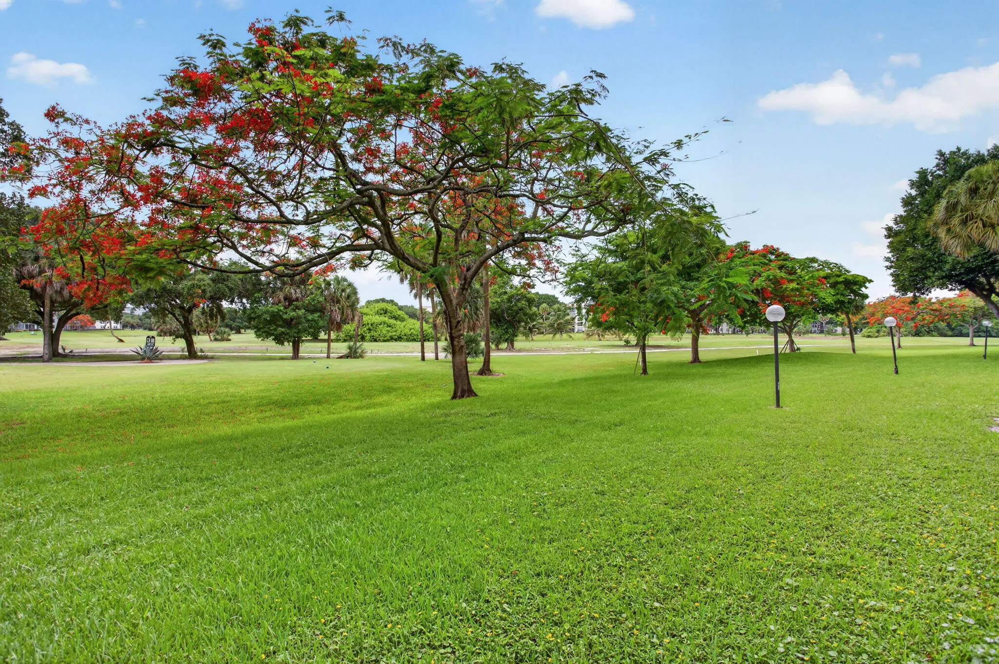 39-web-or-mls-3520-8621