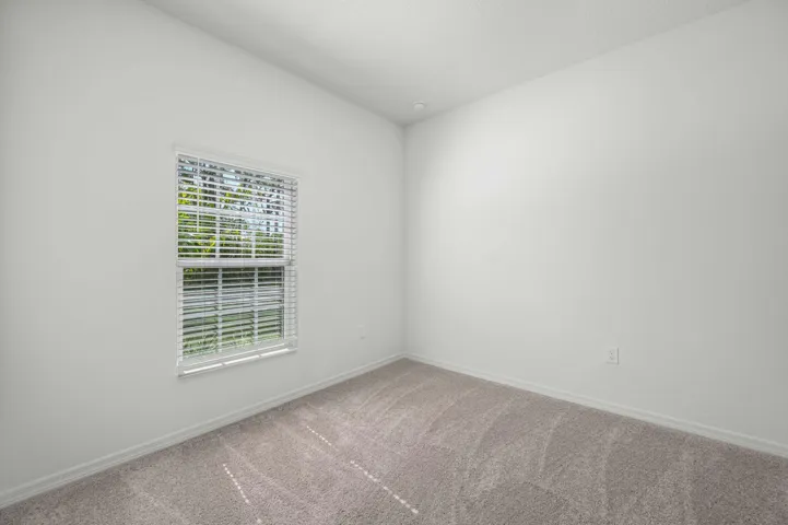 Florida_Coral_L