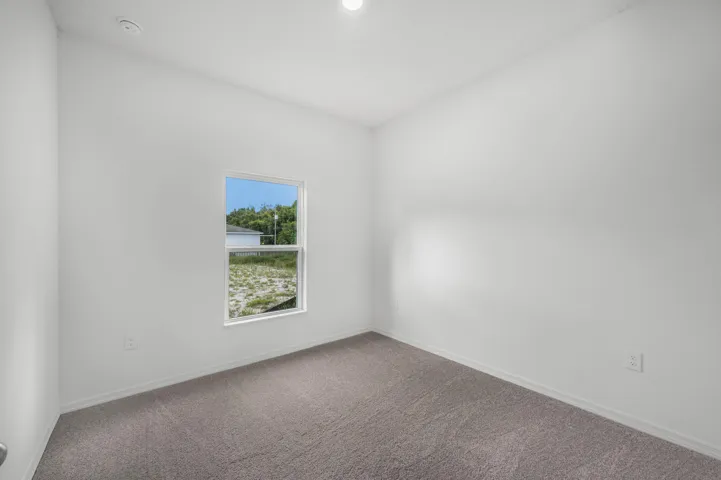 Florida_Coral_L