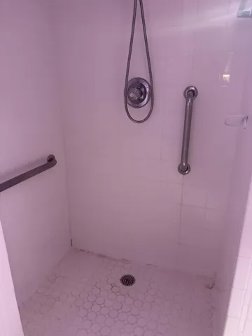 Primary Accessible Shower