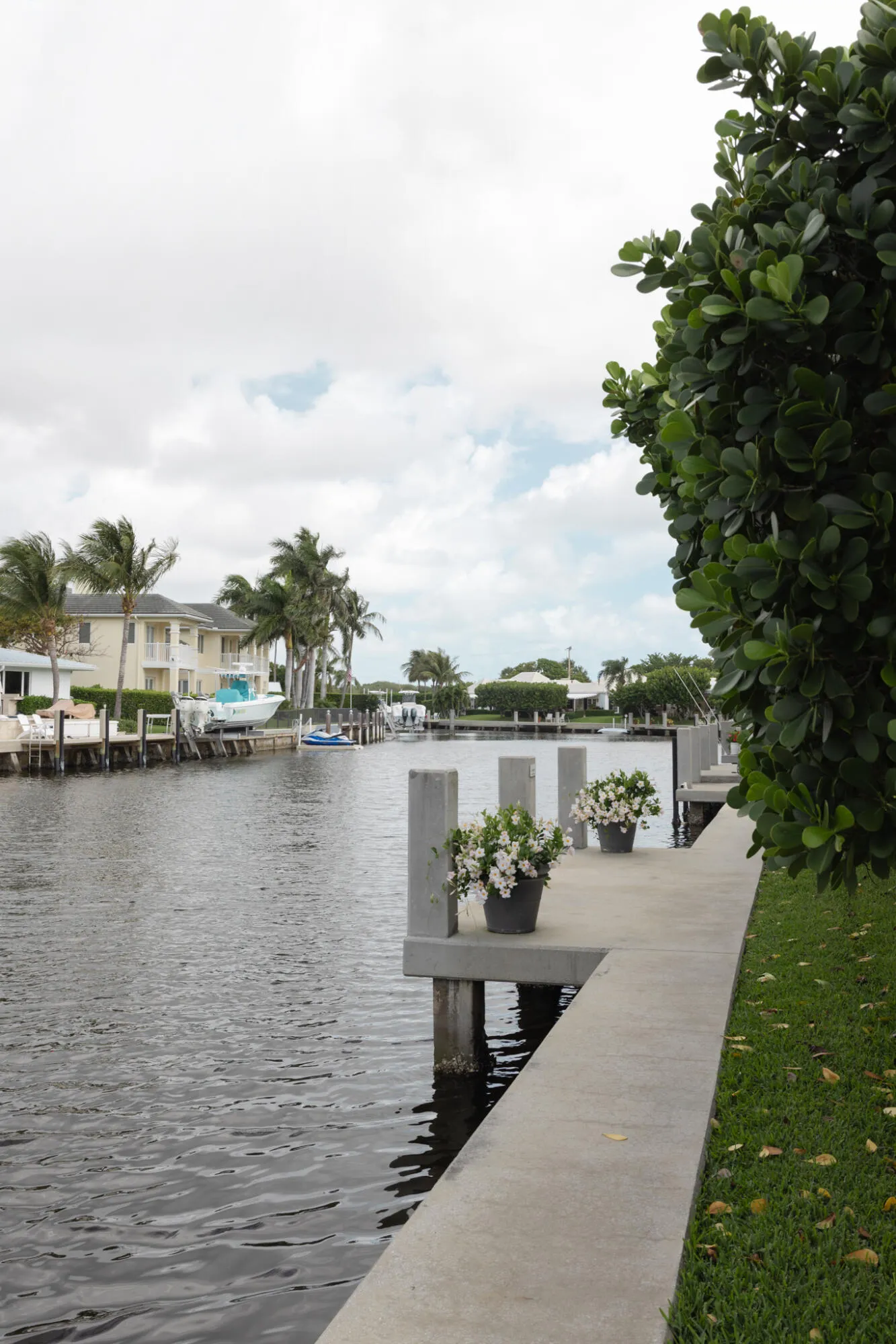 NM 22 Dock4
