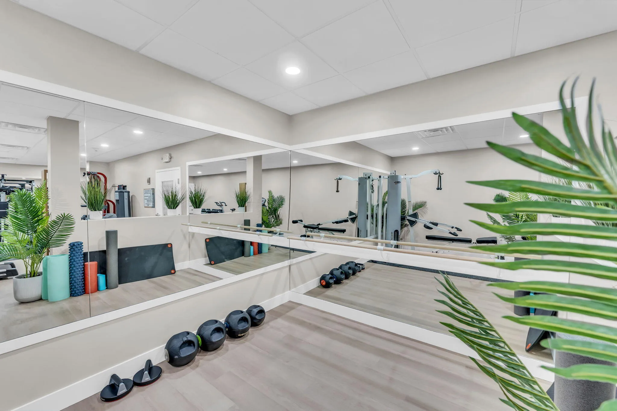 63-web-or-mls-DON08679