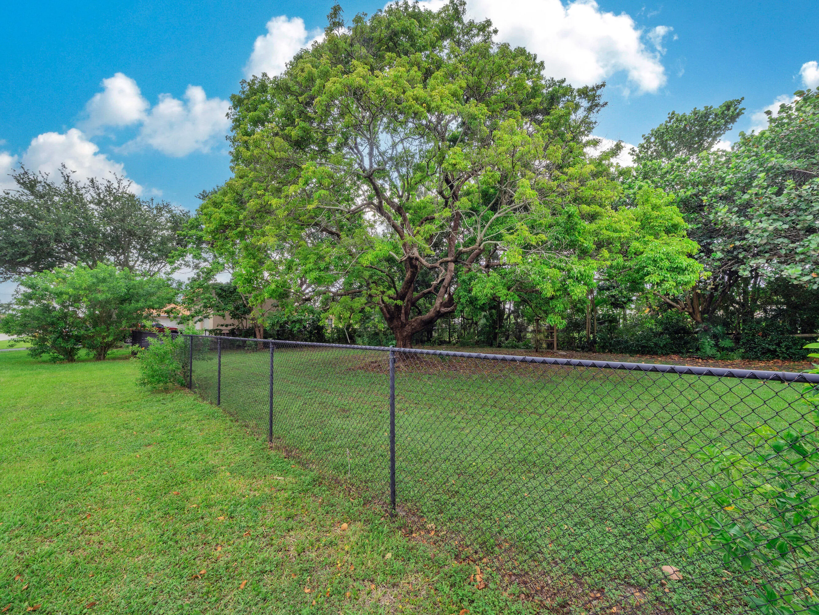31 Undeveloped Lot (3)