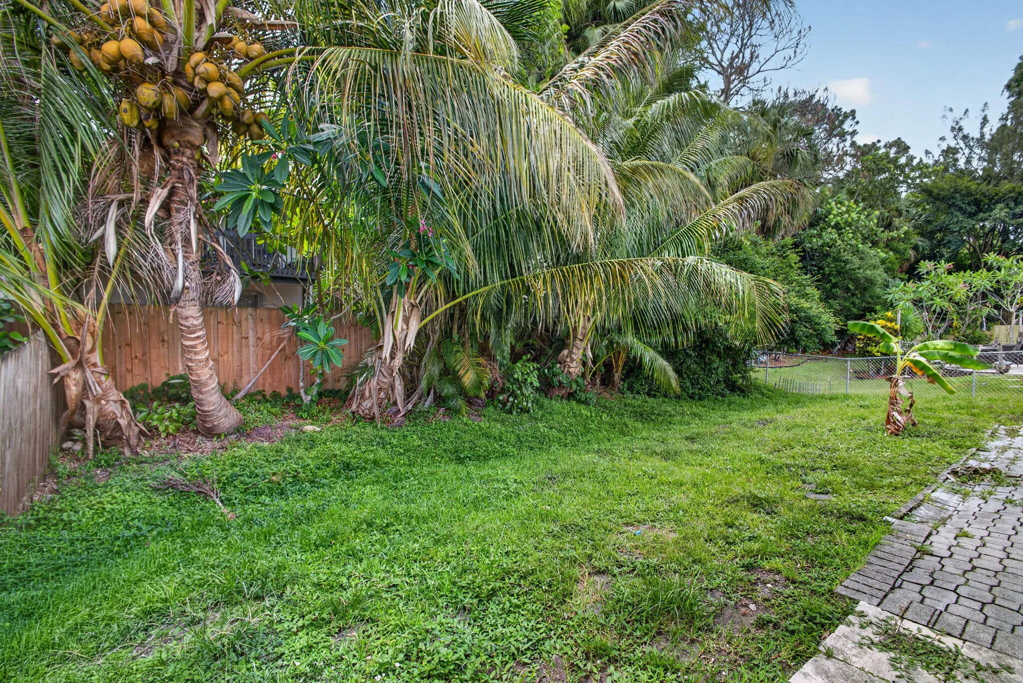 37-web-or-mls-5D1A1822