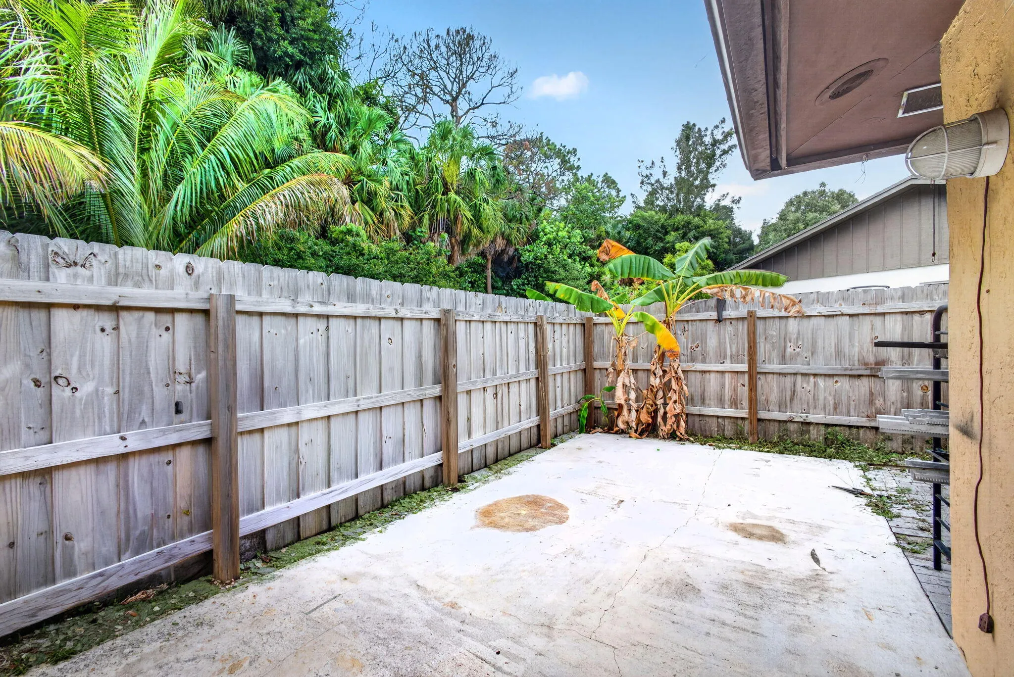 33-web-or-mls-5D1A1793