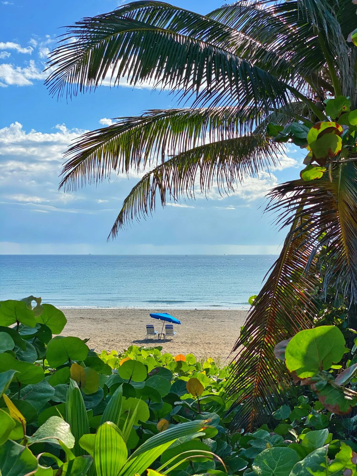 public beach park 1 block away