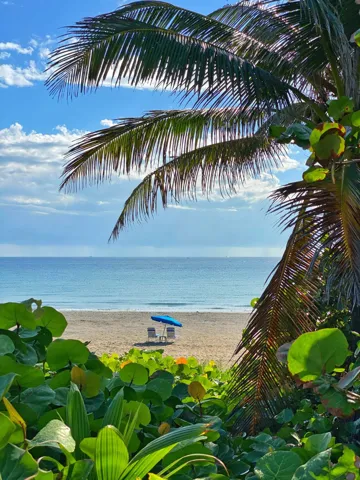 public beach park 1 block away