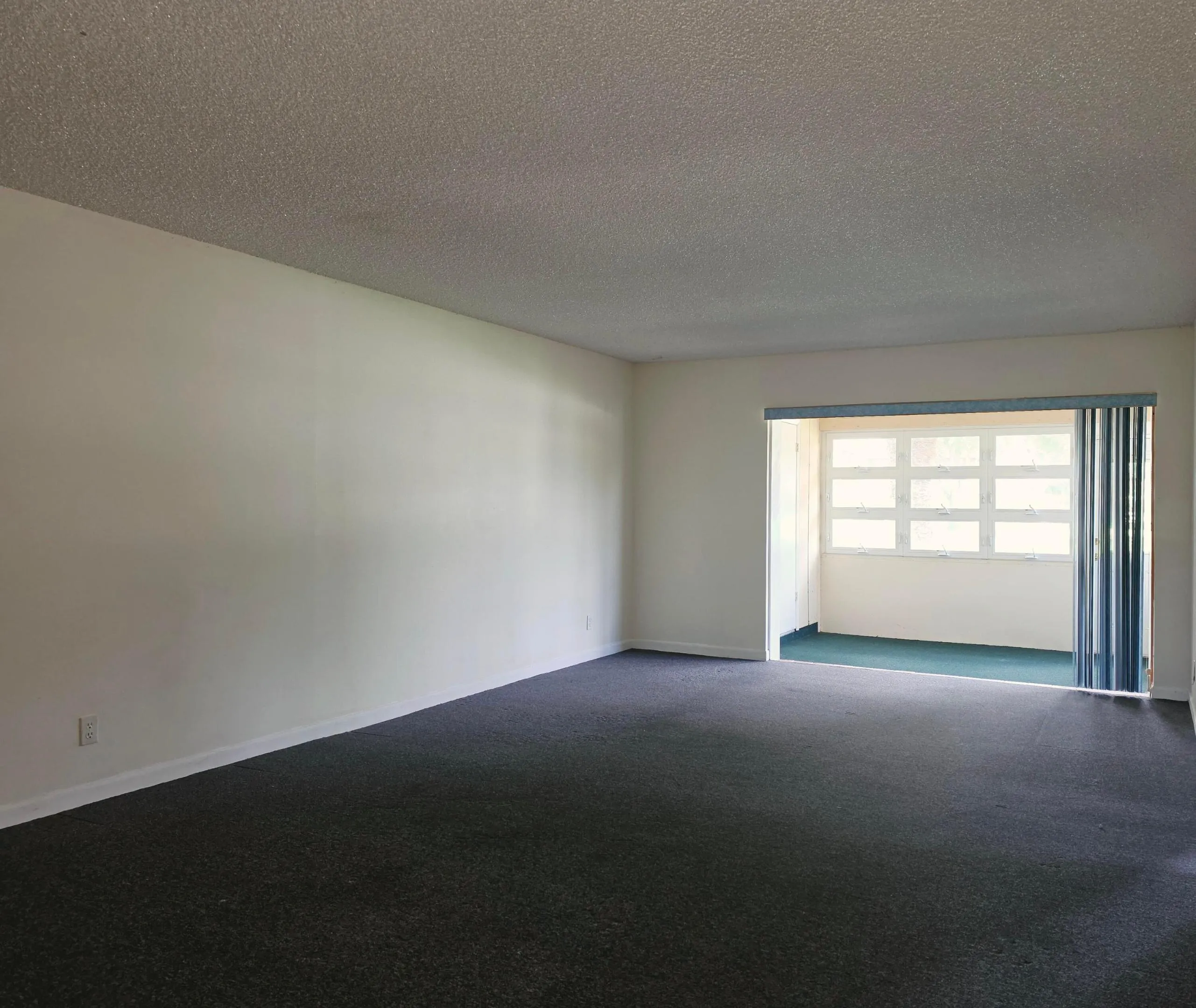 Living Room/ Dining