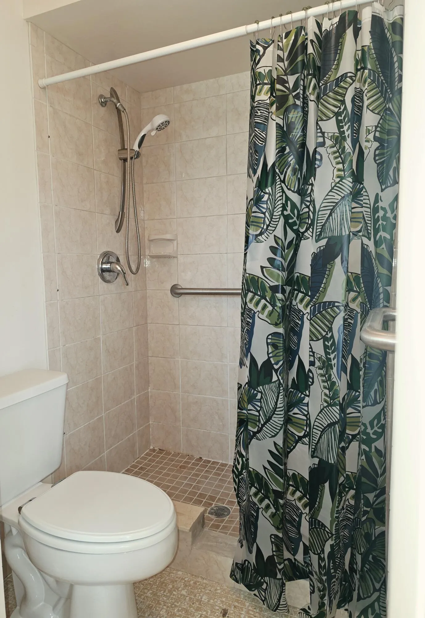 Primary Shower