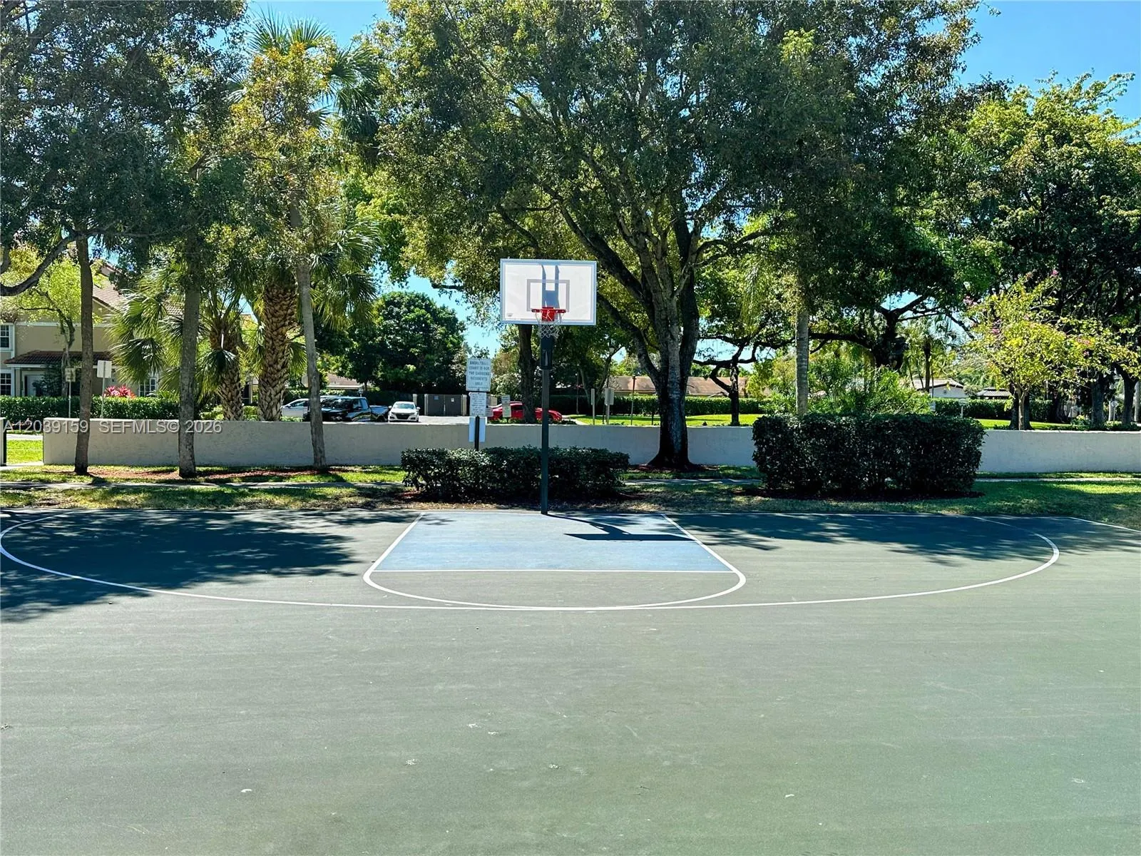 Basketball Court