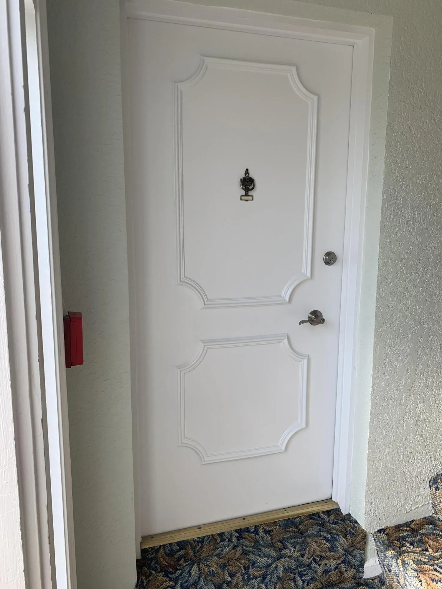 Apt. Entry Door