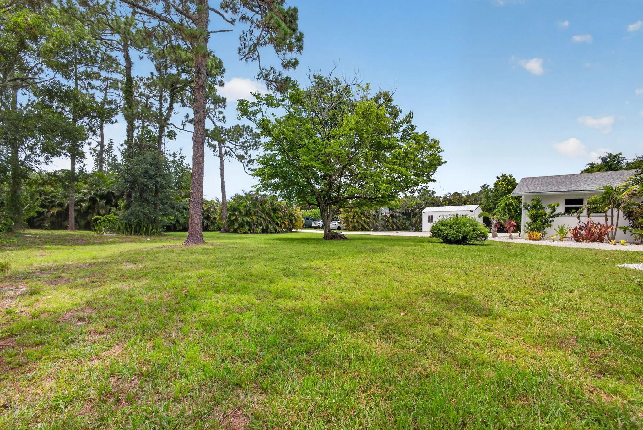 17-web-or-mls-5D1A3852