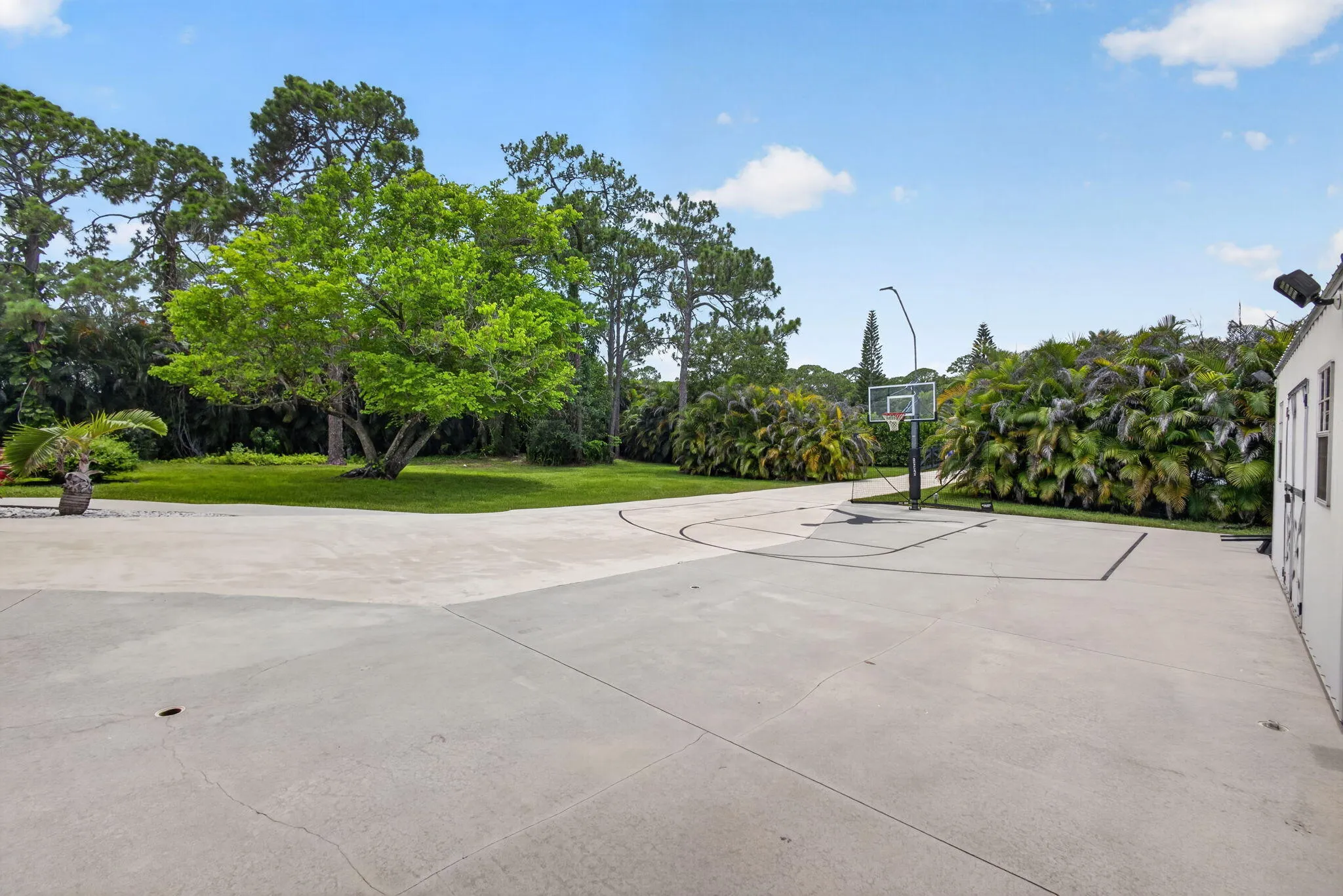 11-web-or-mls-5D1A3822