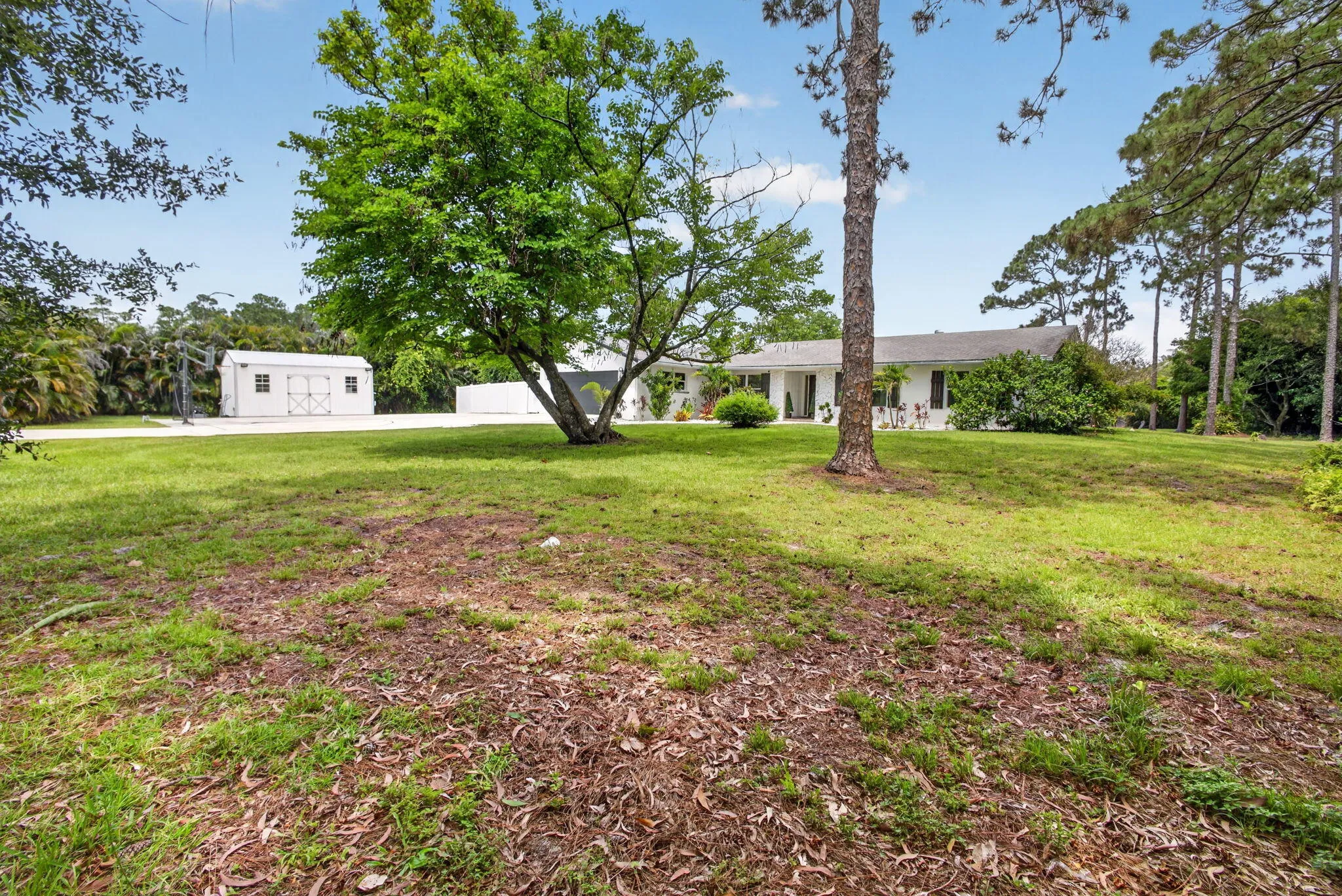 19-web-or-mls-5D1A3863