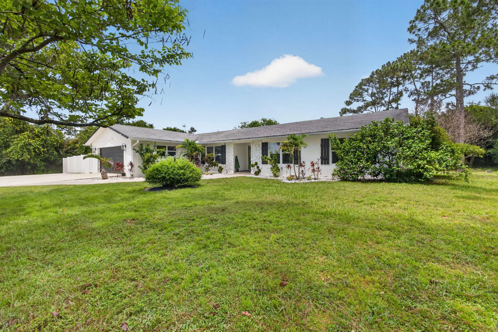 18-web-or-mls-5D1A3859