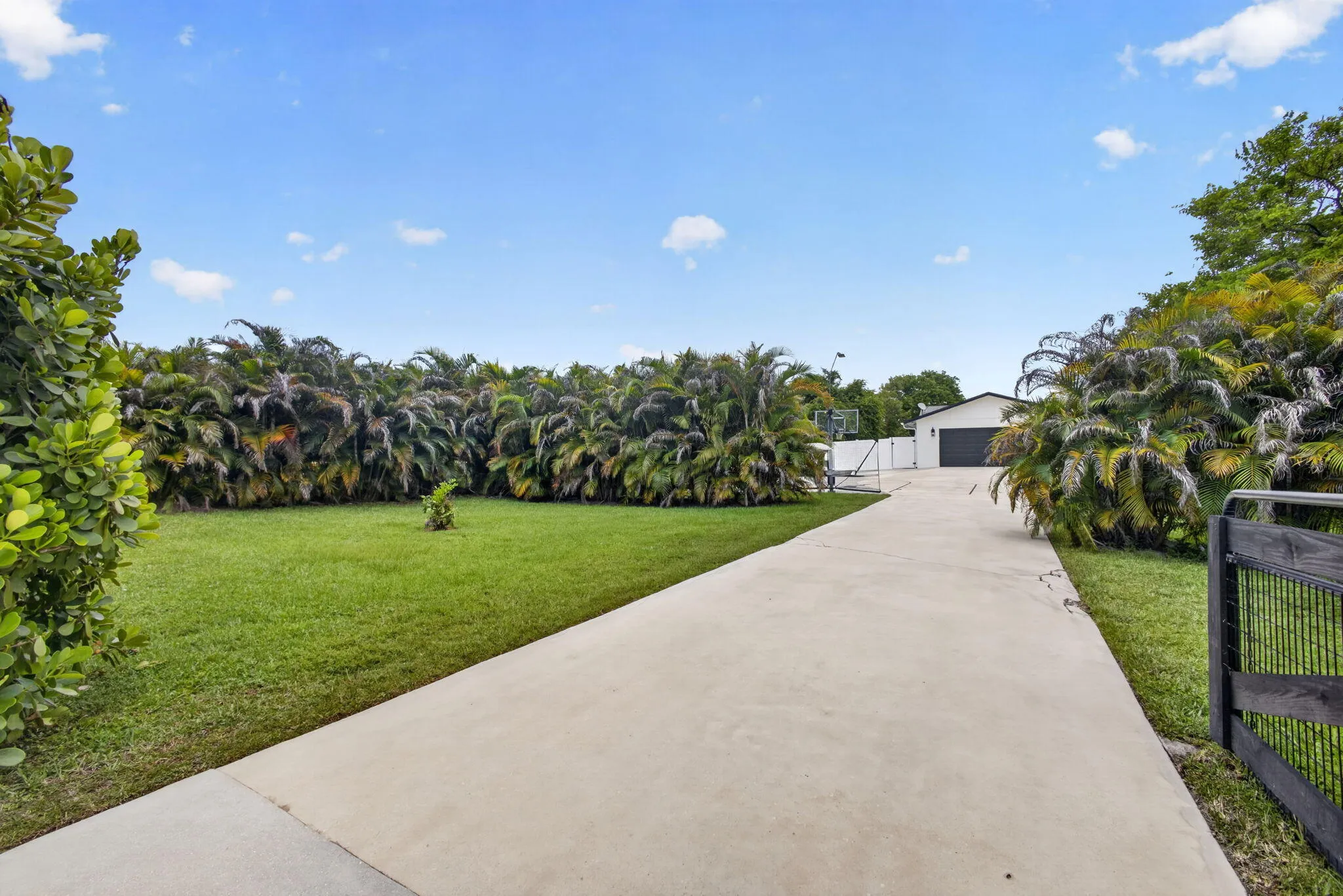 3-web-or-mls-5D1A3603