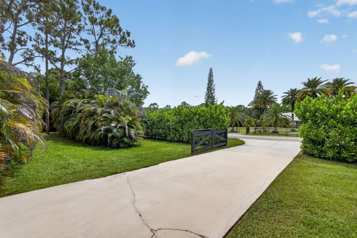 5-web-or-mls-5D1A3792