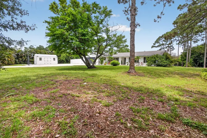 19-web-or-mls-5D1A3863