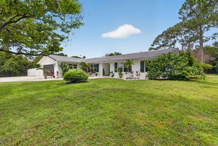 18-web-or-mls-5D1A3859
