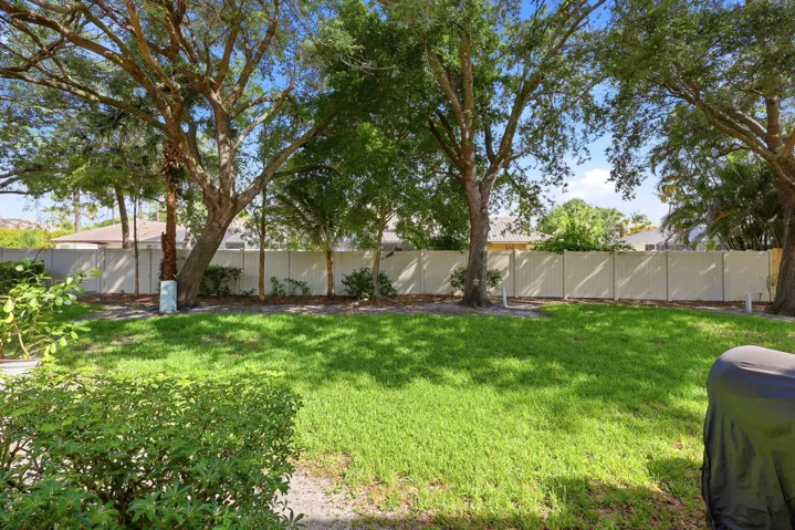 Back yard