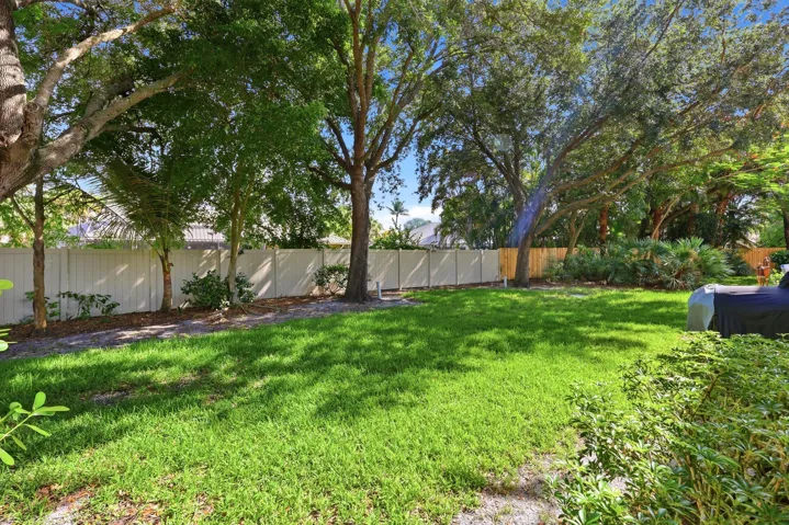 Back yard with plenty of green space
