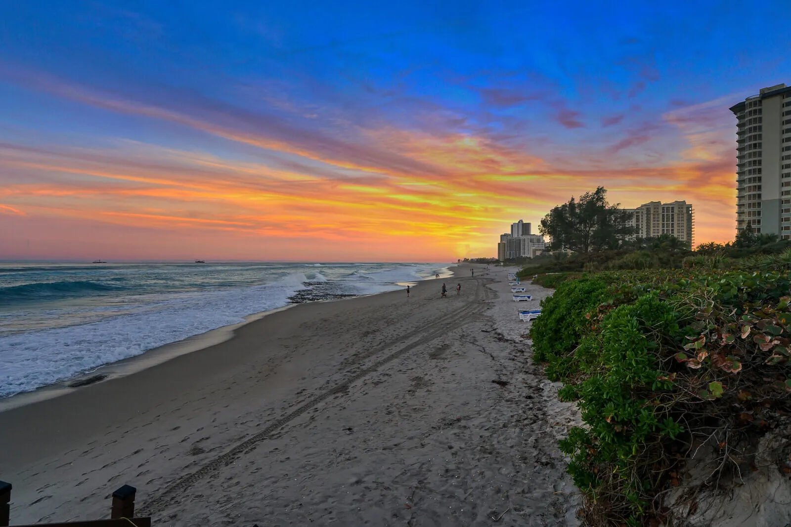 67_Twilight_13_mls