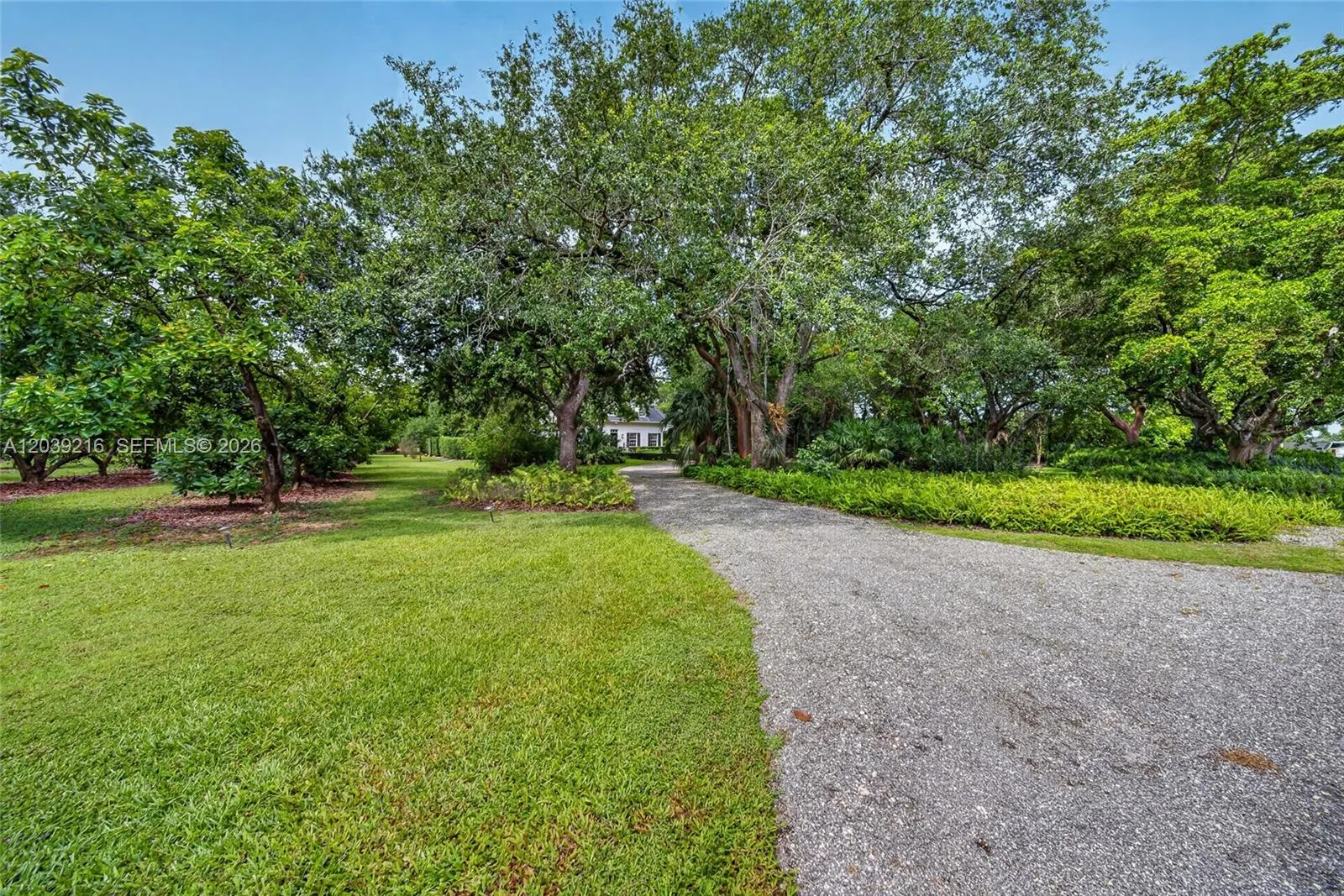 Property photo 74