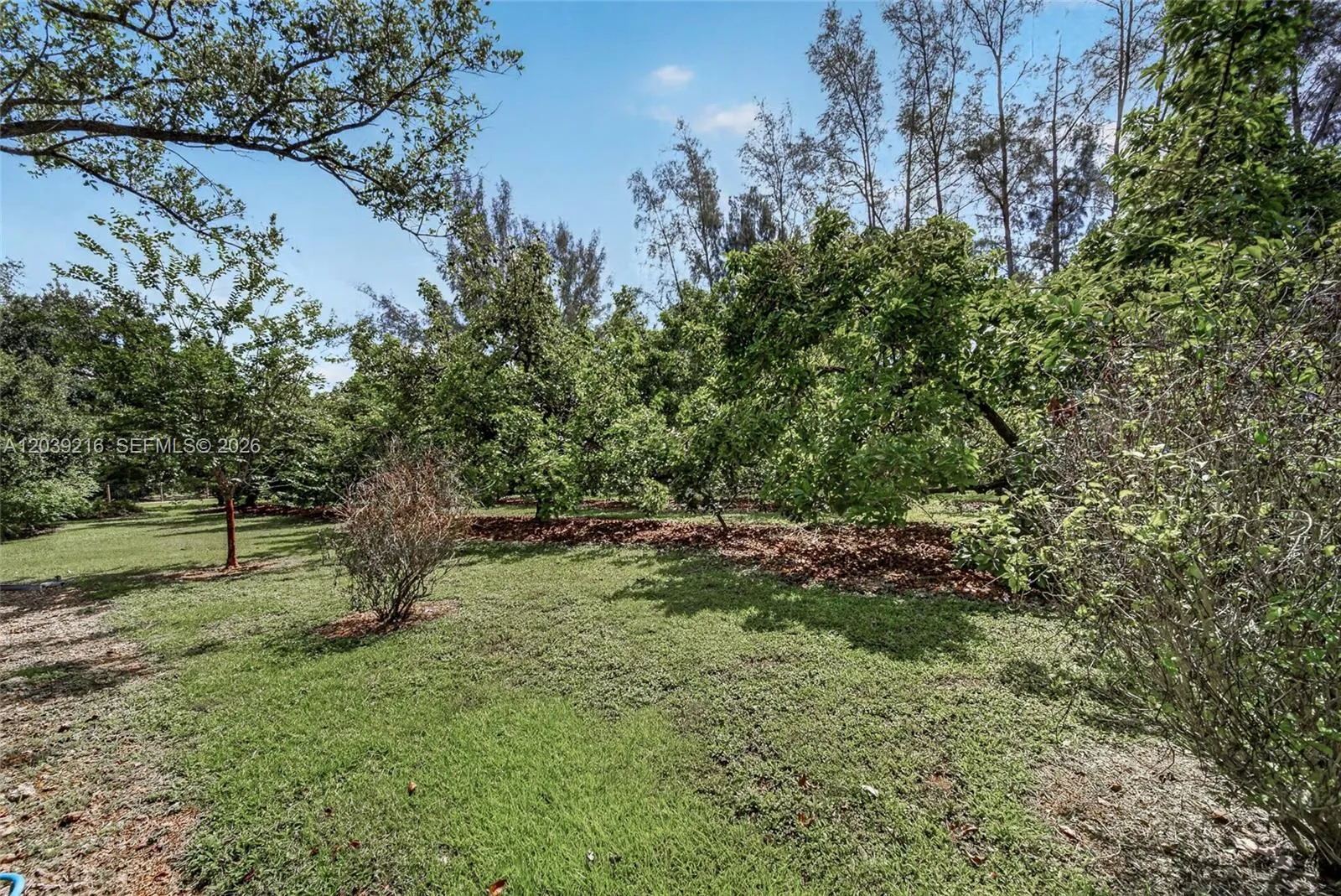 Property photo 65