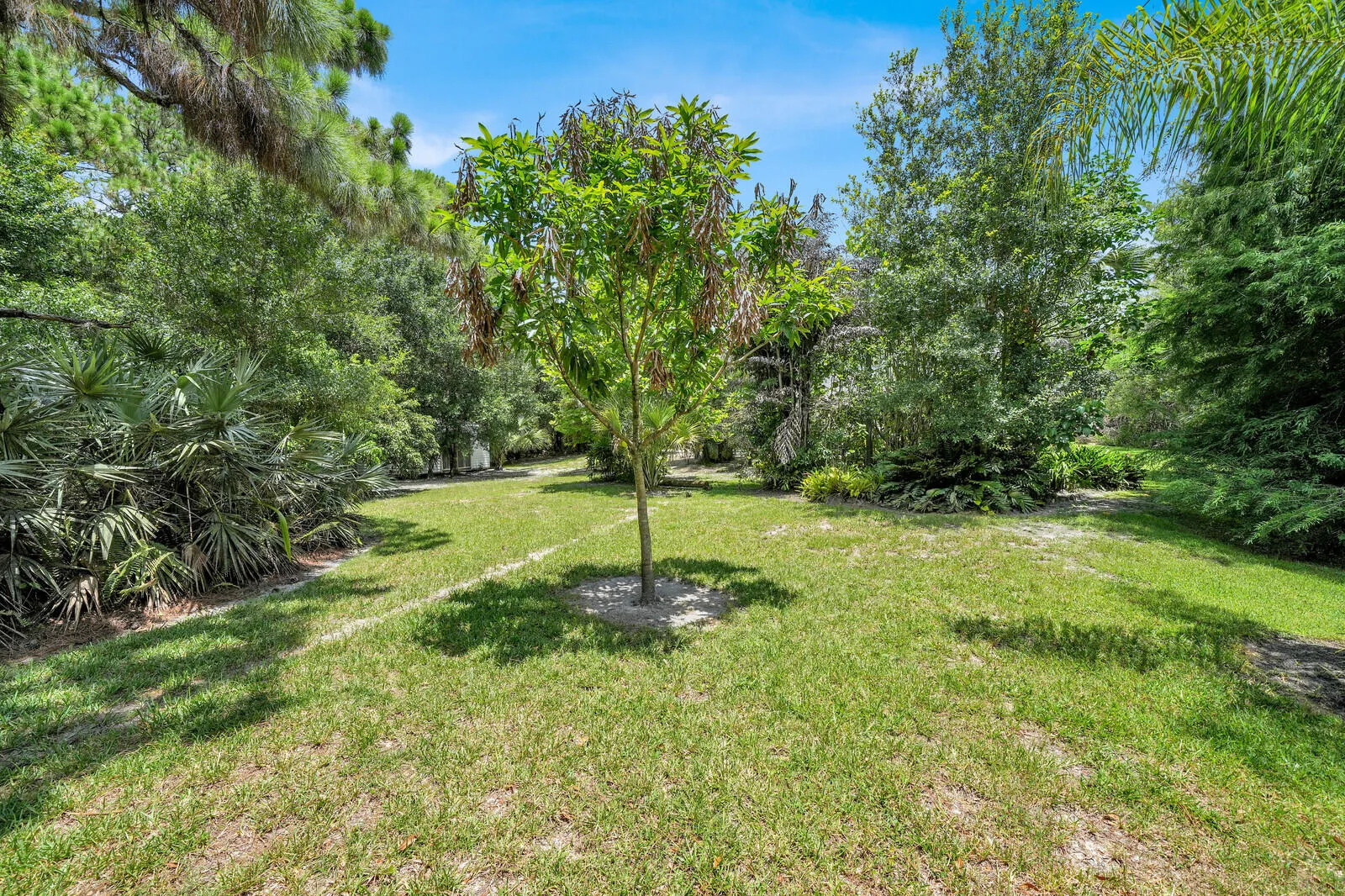 Property photo 37