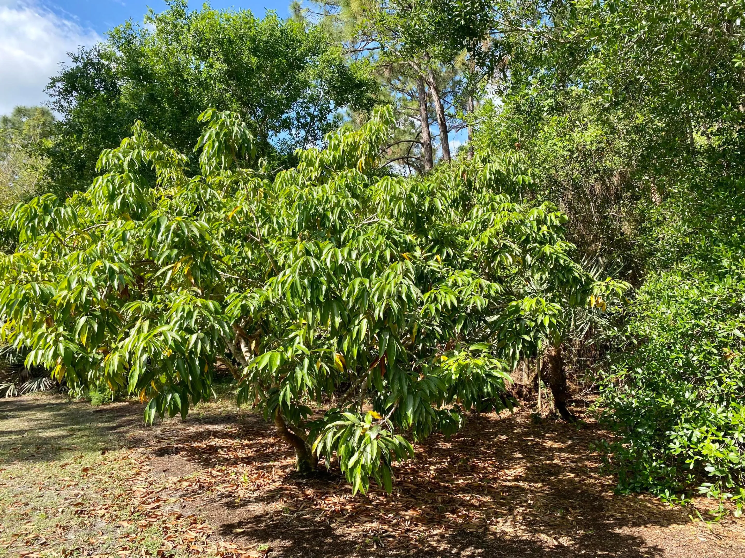Property photo 46