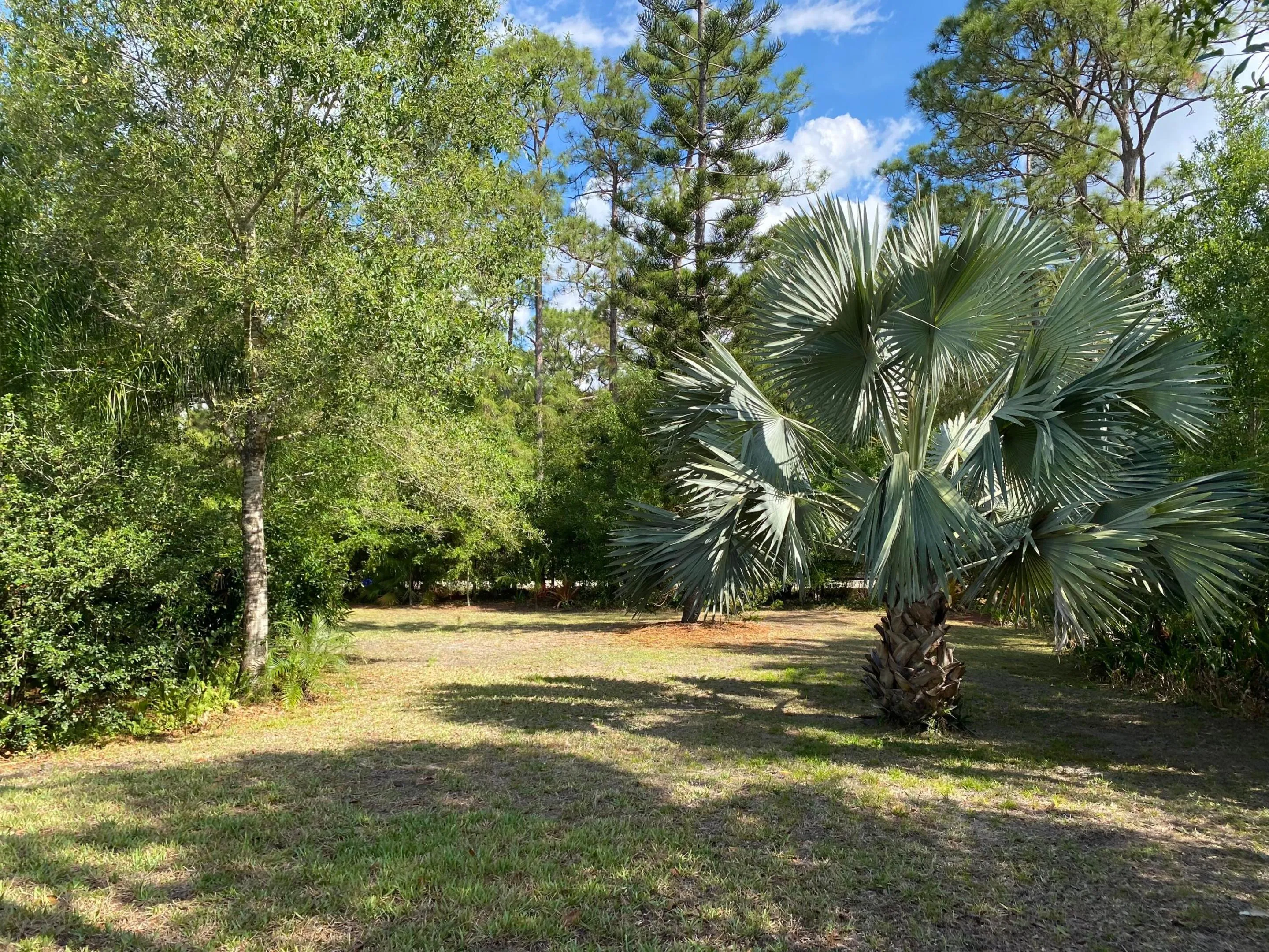 Property photo 47