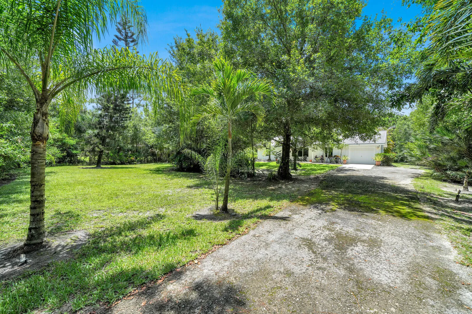 Property photo 41