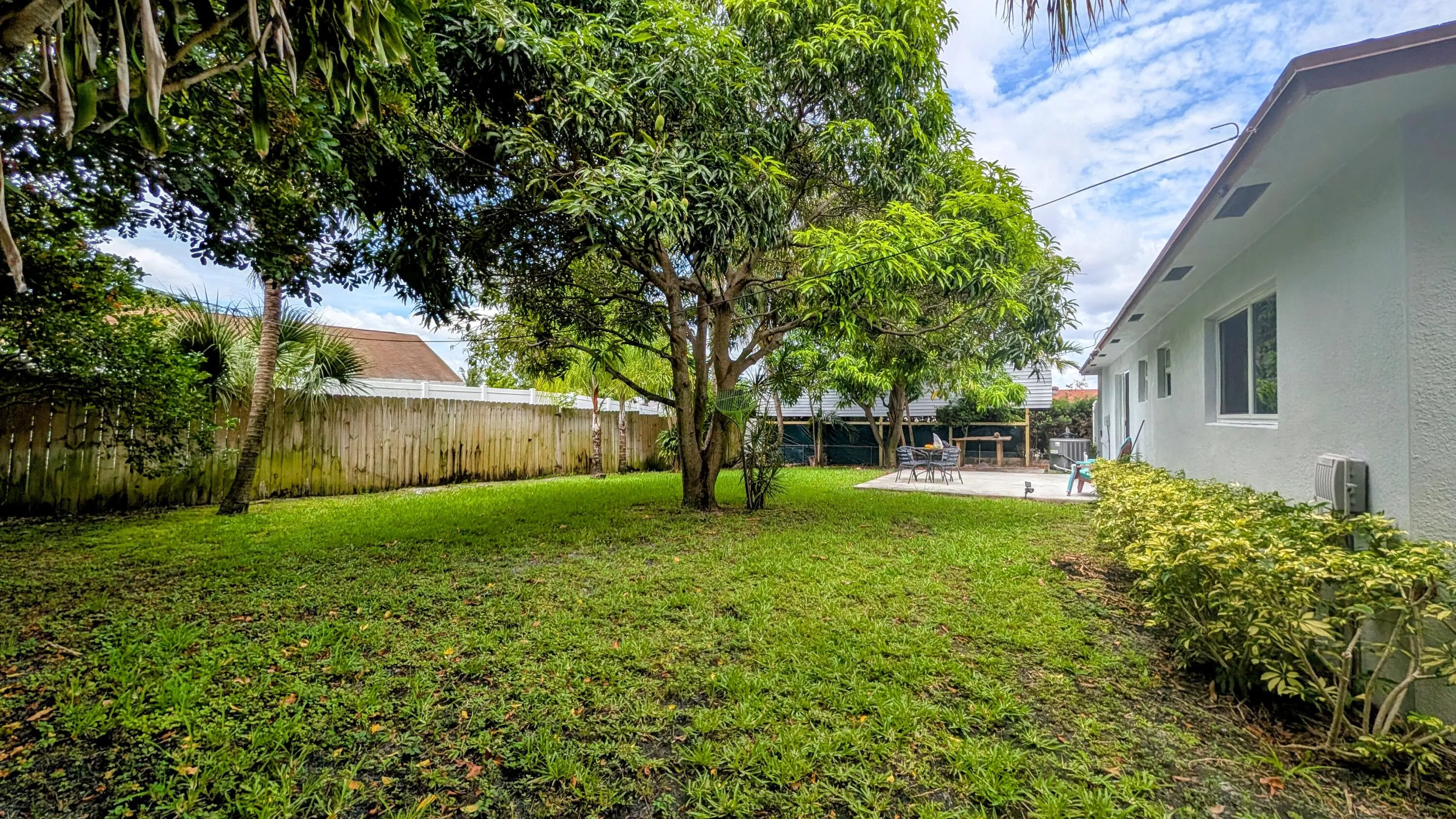 Back Yard