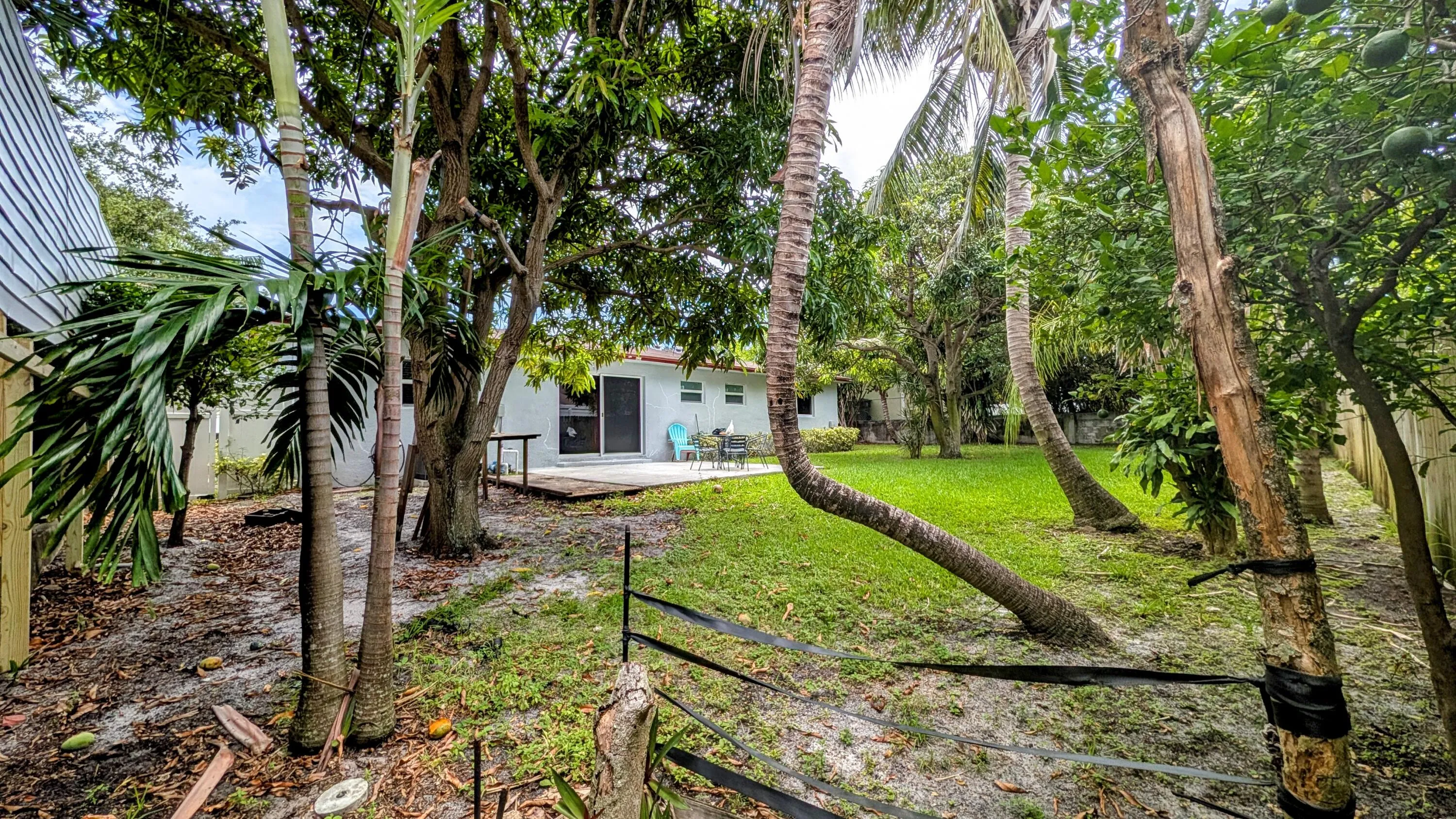 Back Yard
