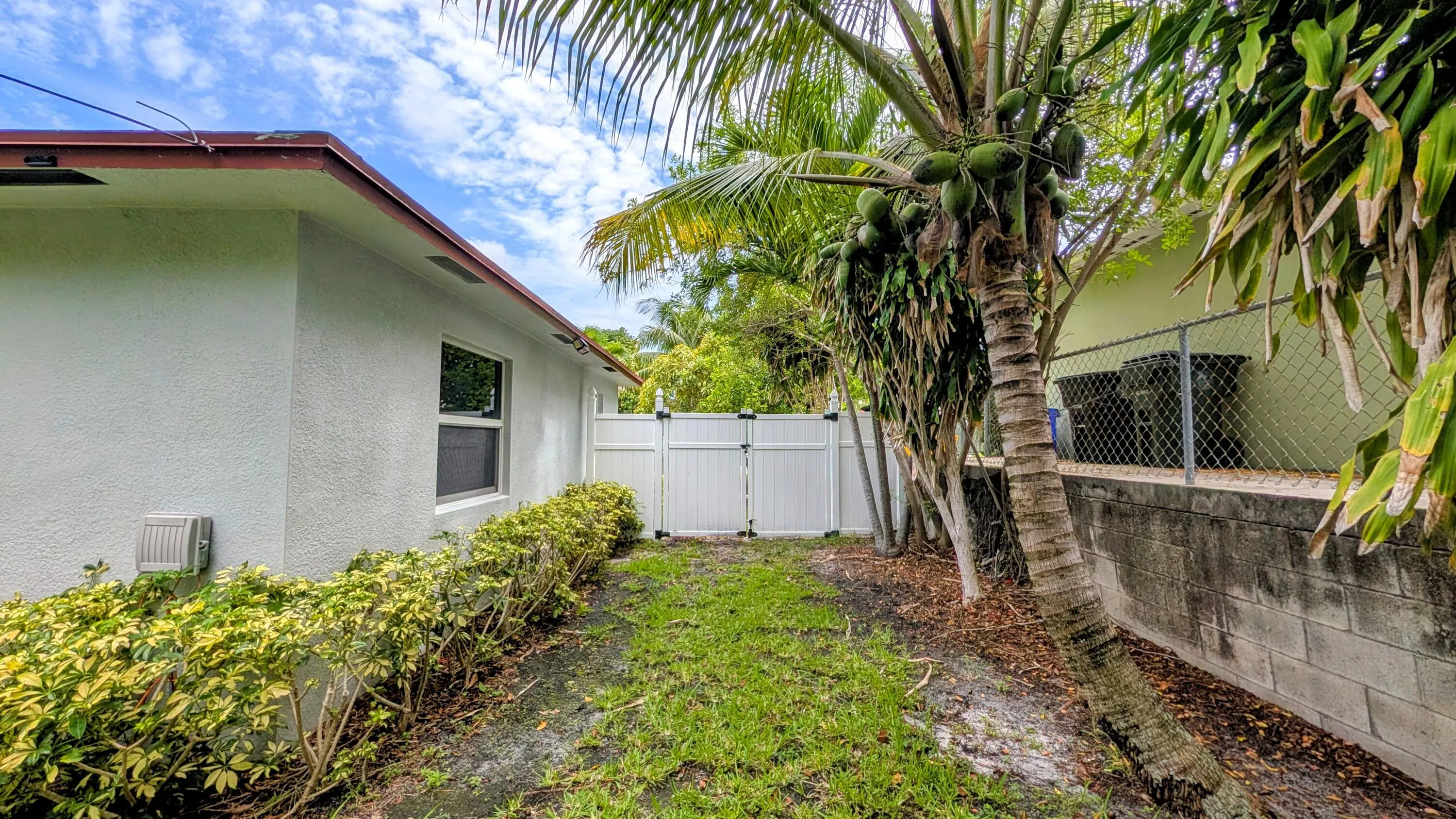 Side Yard