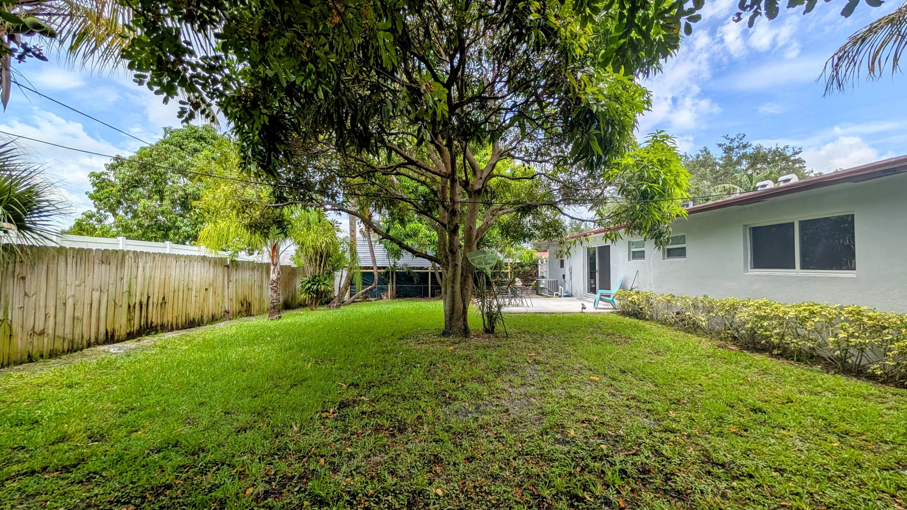 Back Yard