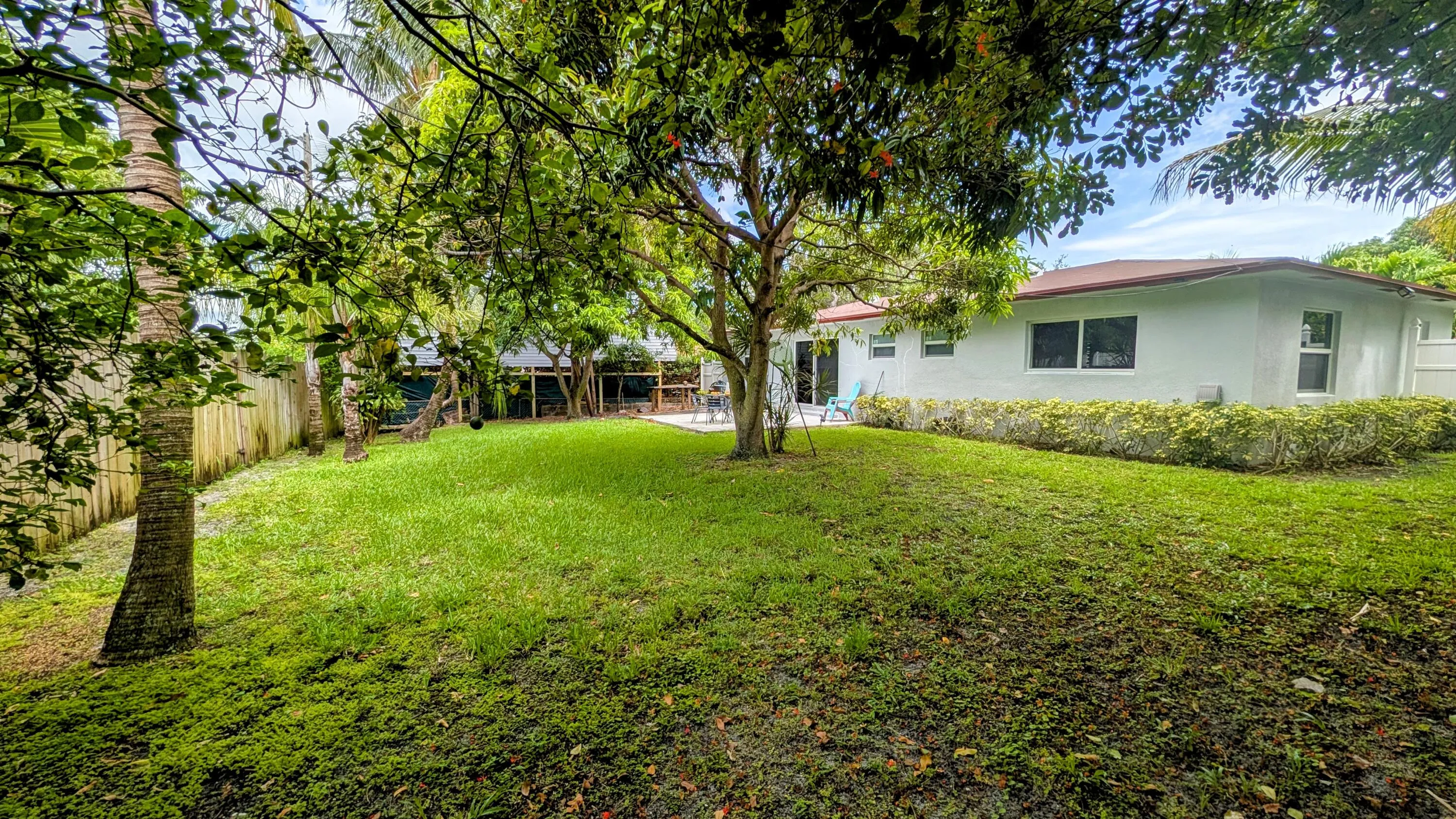 Back Yard