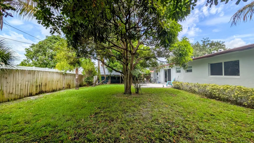 Back Yard