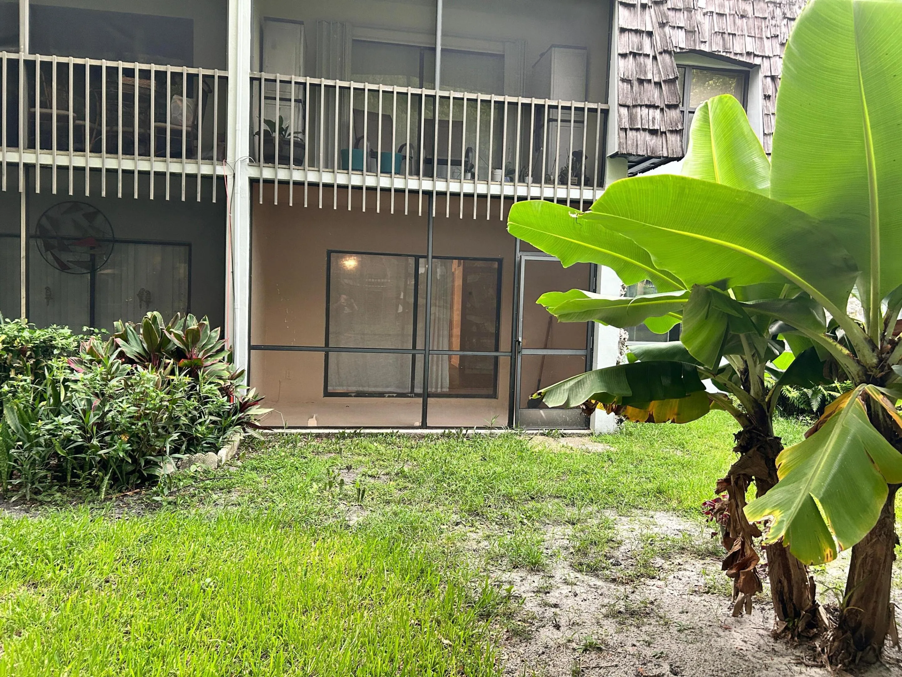 Back yard and patio