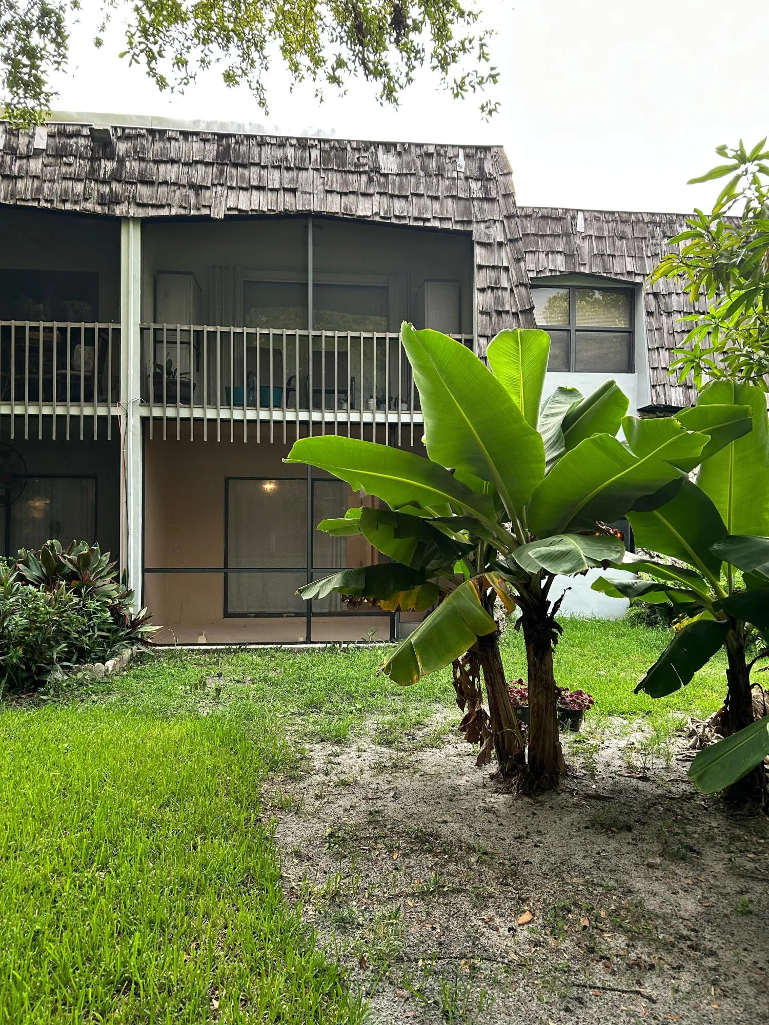 Bck yard and patio