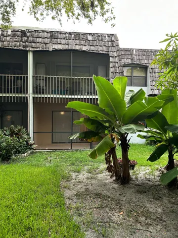 Bck yard and patio