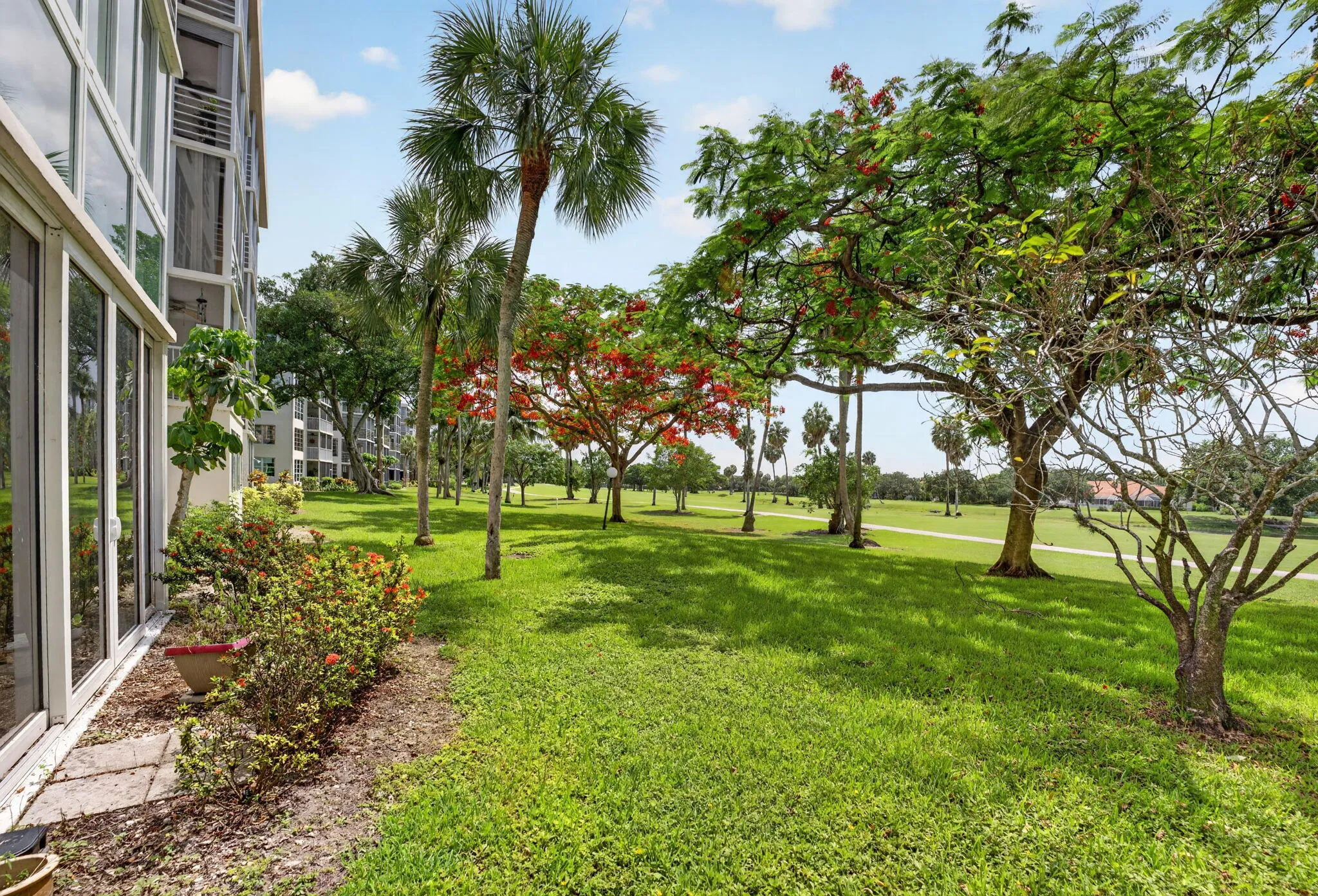 37-web-or-mls-DSC07446