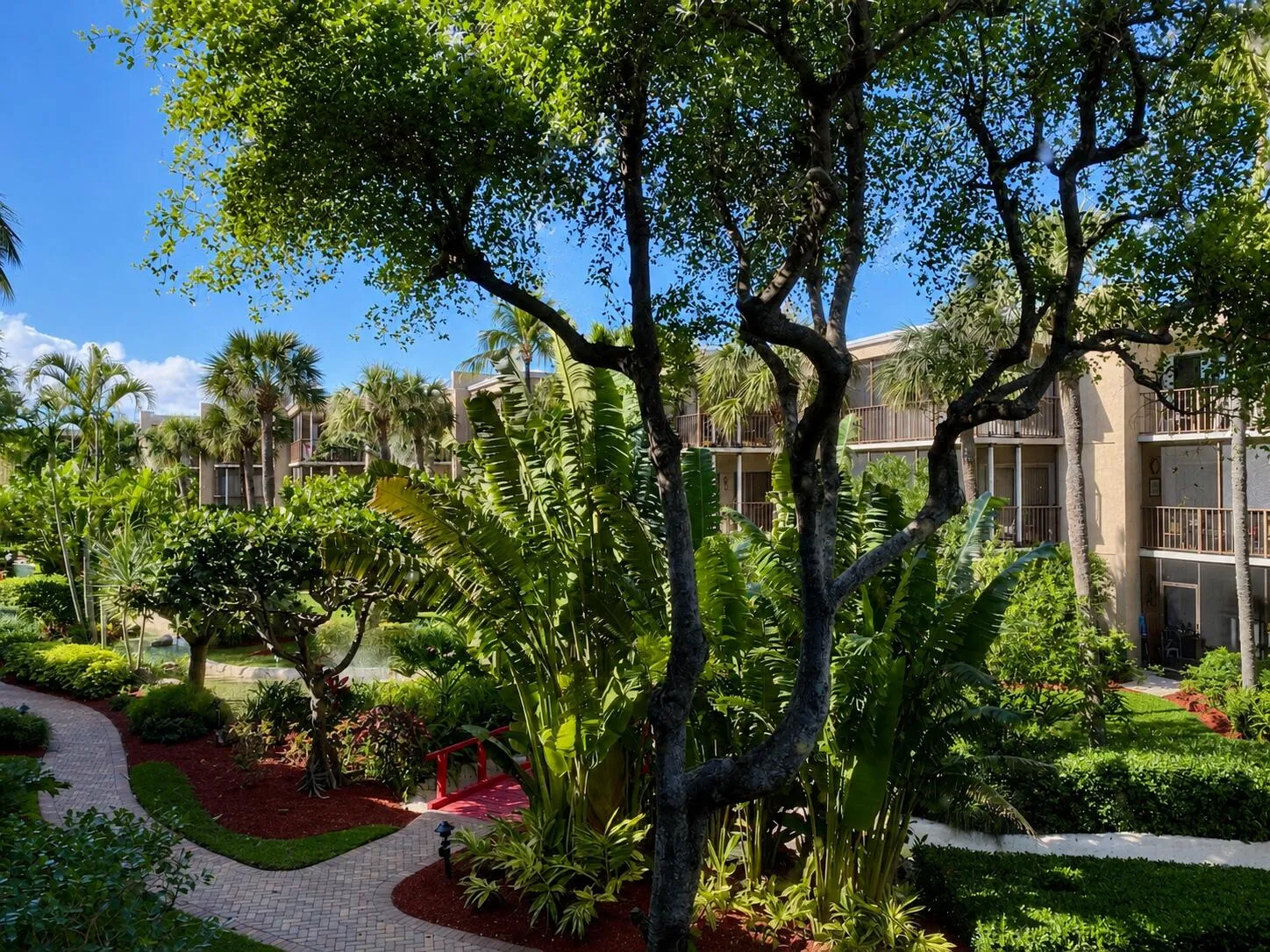 Garden View
